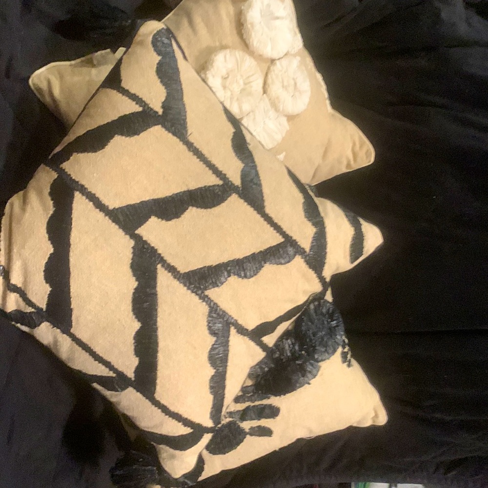 Throw Pillow’s